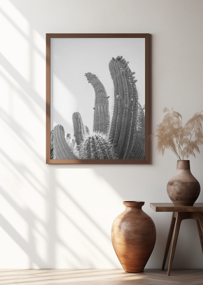Cactus Poster